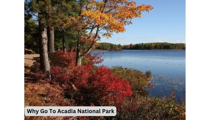 Why Go To Acadia National Park