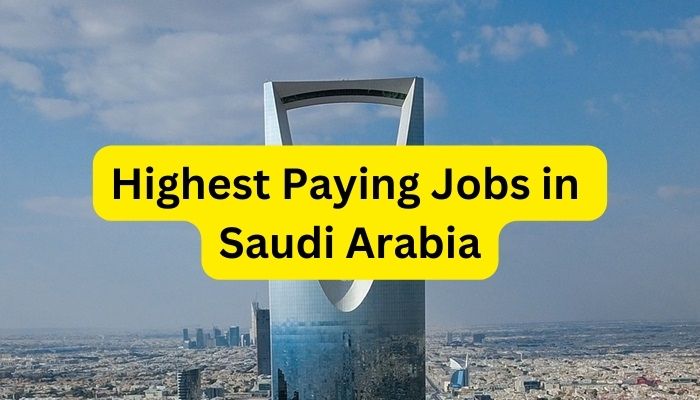 Highest Paying Jobs in Saudi Arabia