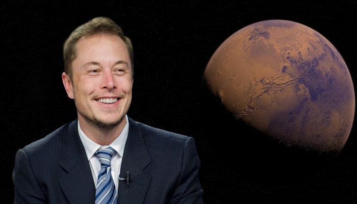 Who Is Elon Musk