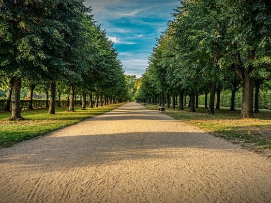Don’t Miss Out: Top Investing Tips for a Secure Financial Future