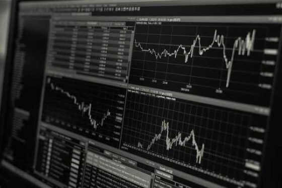 Economy 101: Easy Guide for Newbies to Get Started